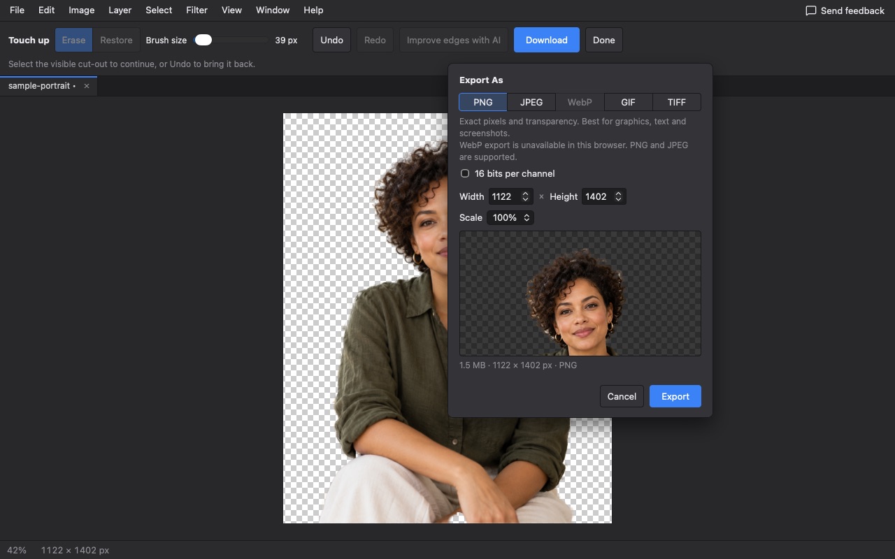 The Export As window in Photostr with PNG selected and a preview of the cut-out on a checkerboard.